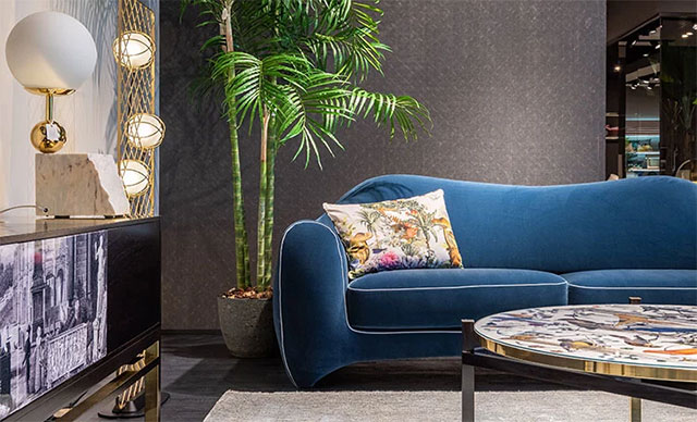 Find the Sofa First