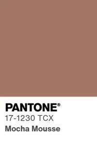 Pantone Mocha Mousse Color of 2025