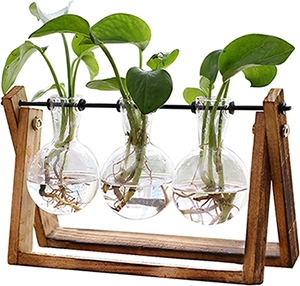 plant terrarium wooden stand
